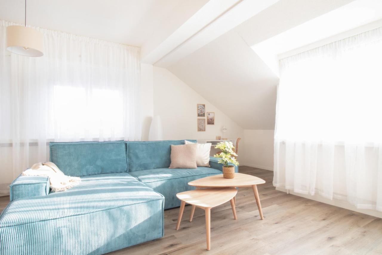 Loewe Apartment Blau Neuhausen Am Rheinfall Eksteriør bilde